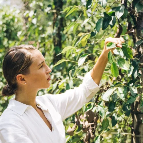 Naturopathy: Πώς θα μάθεις ποιο από τα 4 στοιχεία της φύσης επηρεάζει την ευημερία σου