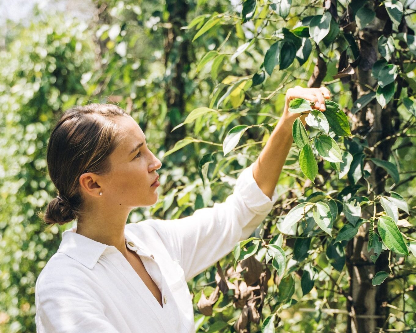 Naturopathy: Πώς θα μάθεις ποιο από τα 4 στοιχεία της φύσης επηρεάζει την ευημερία σου