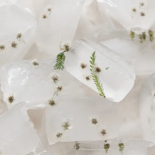 Thyme Ice Cube Hack:ο πιο αποτελεσματικός τρόπος για τη θεραπεία της ακμής γίνεται viral στο TikTok