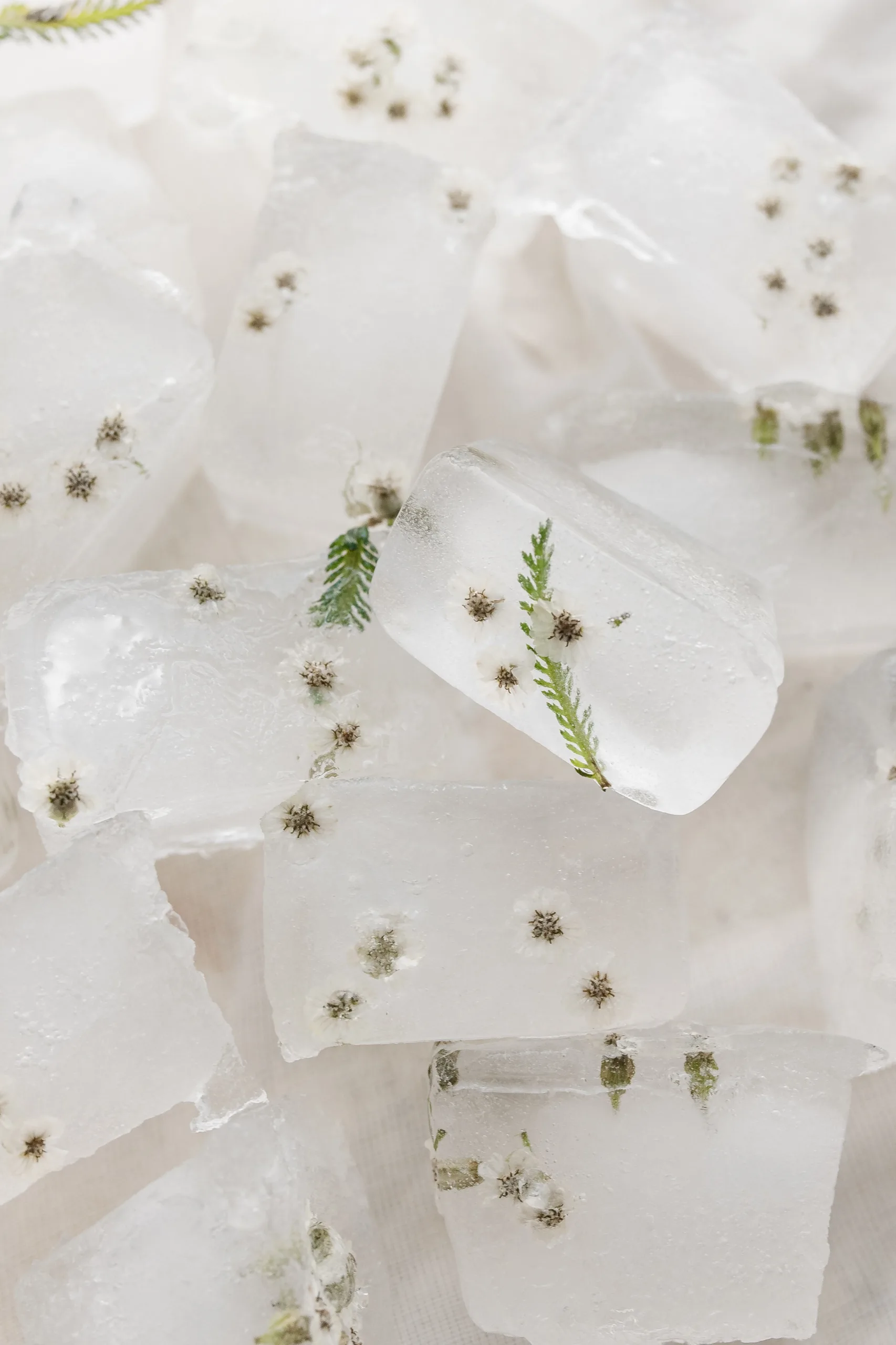 Thyme Ice Cube Hack:ο πιο αποτελεσματικός τρόπος για τη θεραπεία της ακμής γίνεται viral στο TikTok