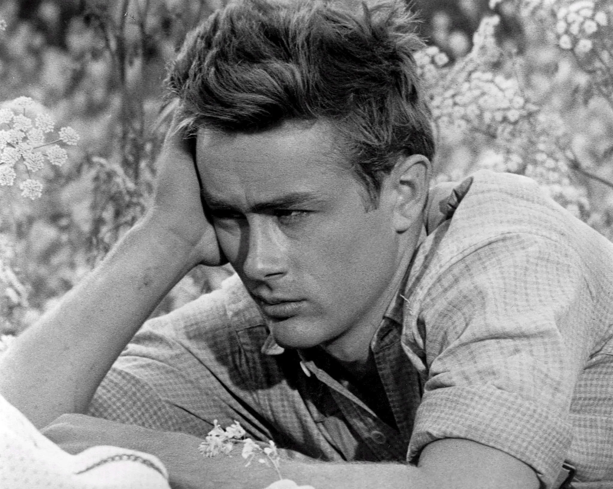 JAMES DEAN