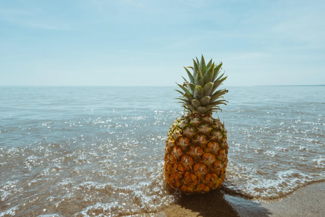 ANANAS