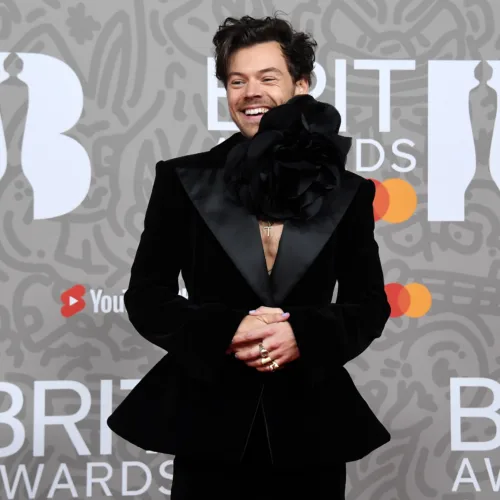 Ο Harry Styles όρισε τον πρώτο διευθύνοντα σύμβουλο στη lifestyle εταιρεία του, Pleasing