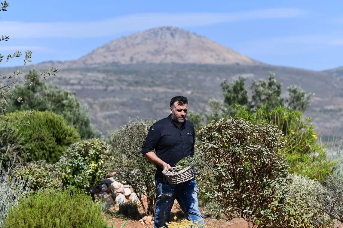 Πέτρα και Φως Βασιλης Τσατσακης