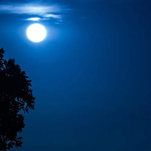 Super Blue Moon 2023: Τι πρέπει να γνωρίζεις γι' αυτό το σπάνιο φαινόμενο που υπόσχεται μεγάλα νέα