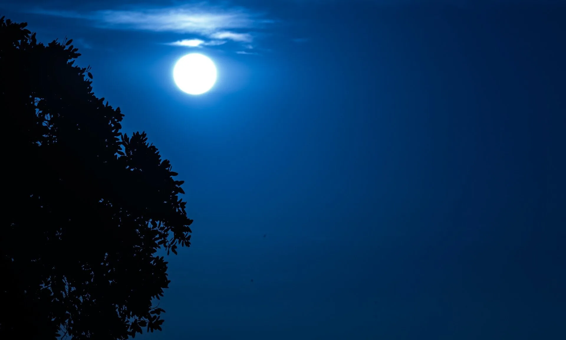 Super Blue Moon 2023: Τι πρέπει να γνωρίζεις γι' αυτό το σπάνιο φαινόμενο που υπόσχεται μεγάλα νέα