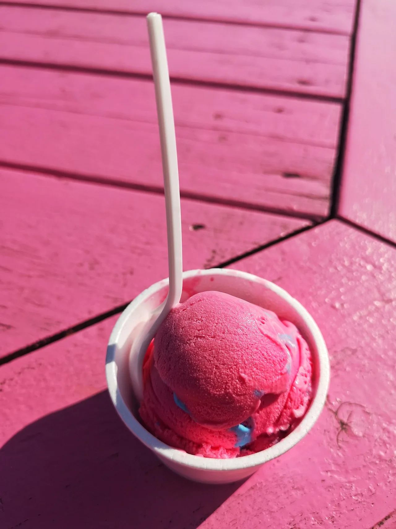 Raspberry Sorbet: Μια συνταγή γλυκιά σαν το καλοκαίρι