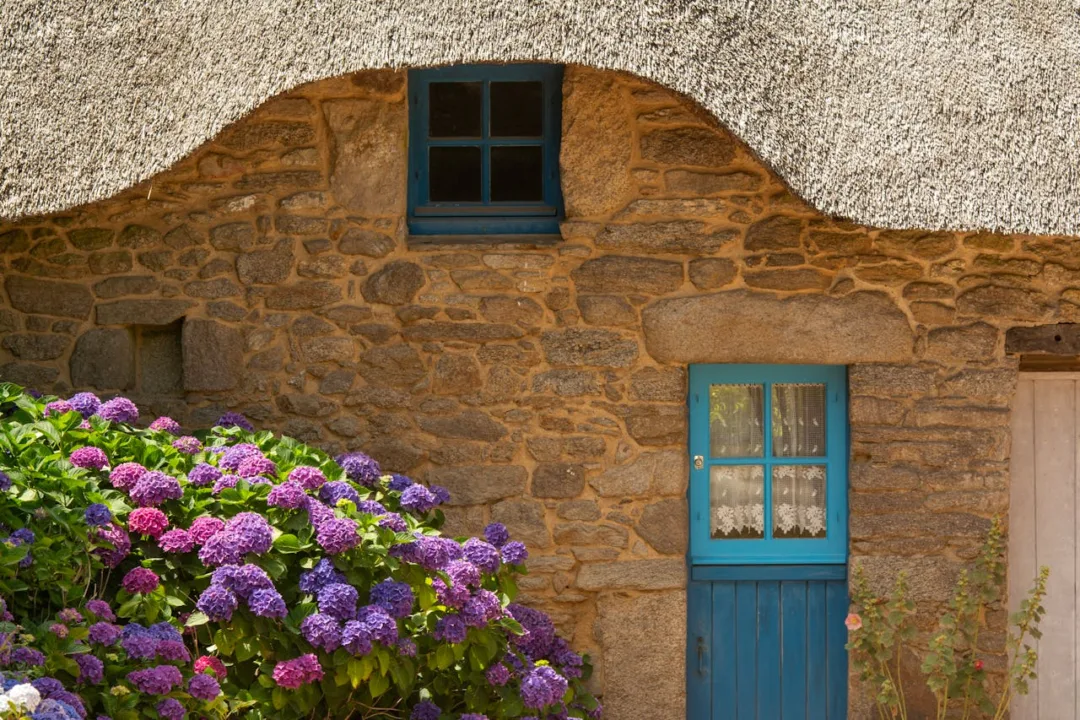 4 αναρριχώμενα φυτά που θα δώσουν στυλ στην πρόσοψη του σπιτιού σου