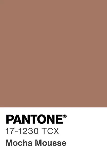 «Mocha Mousse»: Το Χρώμα της Χρονιάς για το 2025 της Pantone έχει την απόχρωση του αγαπημένου μας γλυκίσματος